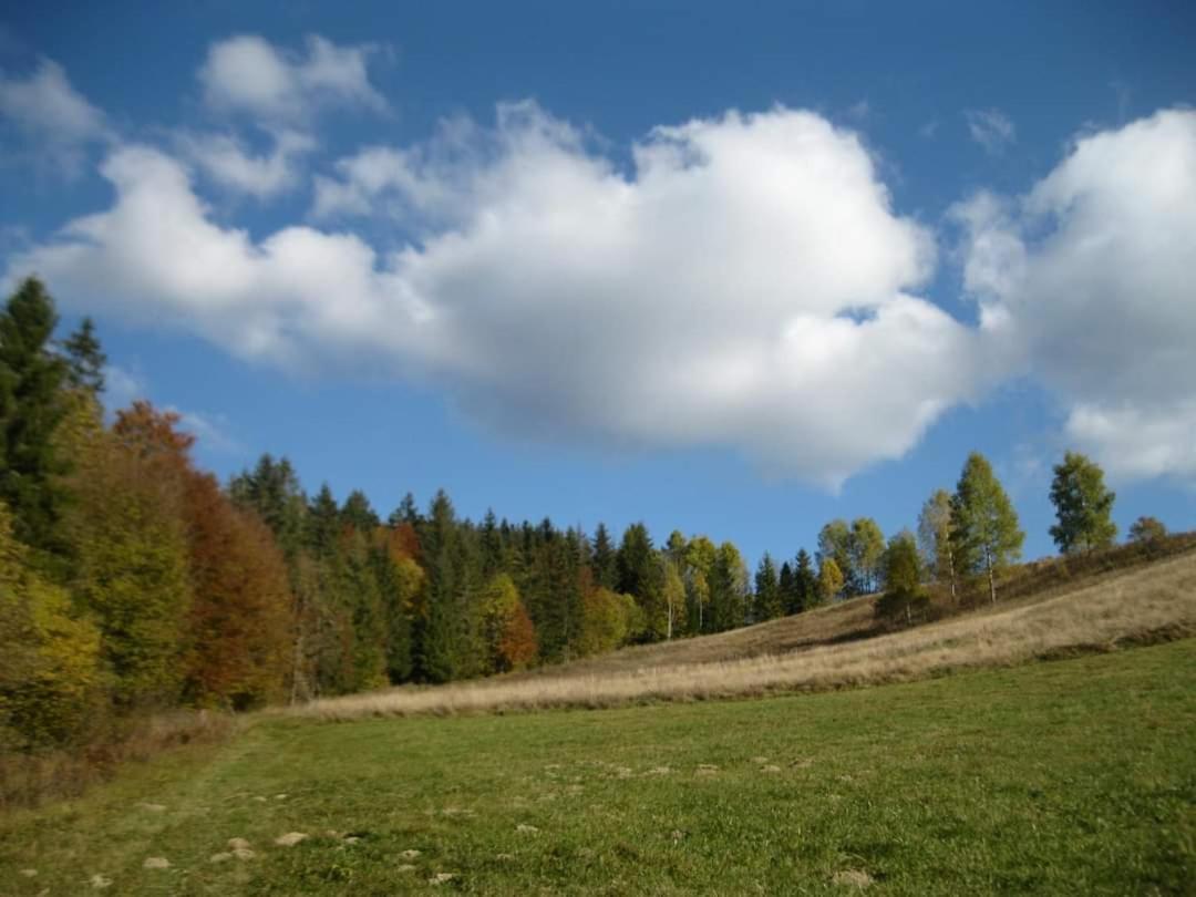 Villa У Медовому Раю Rostoka  Esterno foto