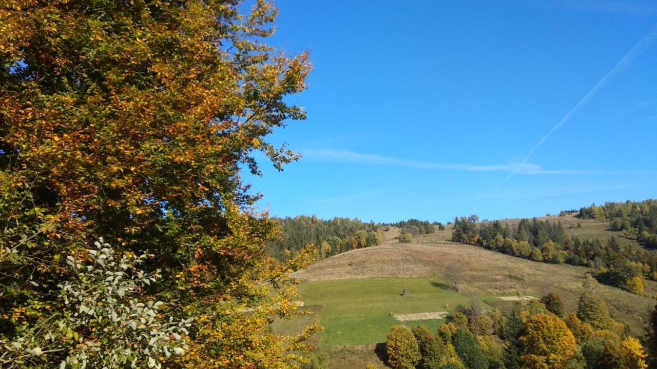 Villa У Медовому Раю Rostoka  Esterno foto