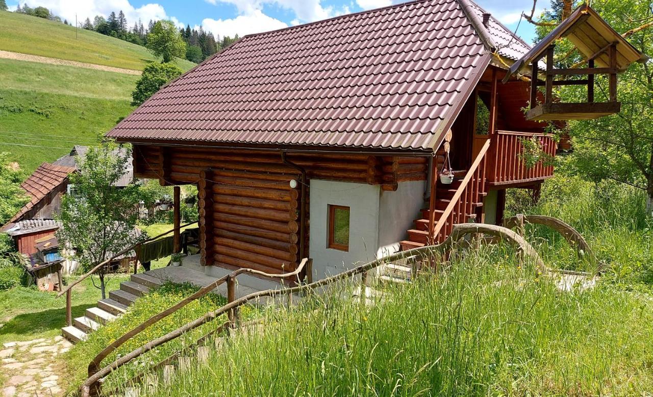 Villa У Медовому Раю Rostoka  Esterno foto