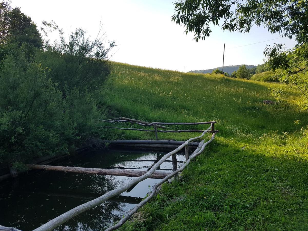 Villa У Медовому Раю Rostoka  Esterno foto